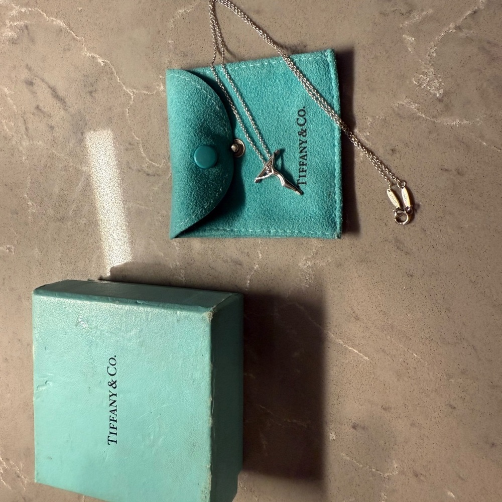 Tiffany & Co. Silver Necklace with Blue Pouch